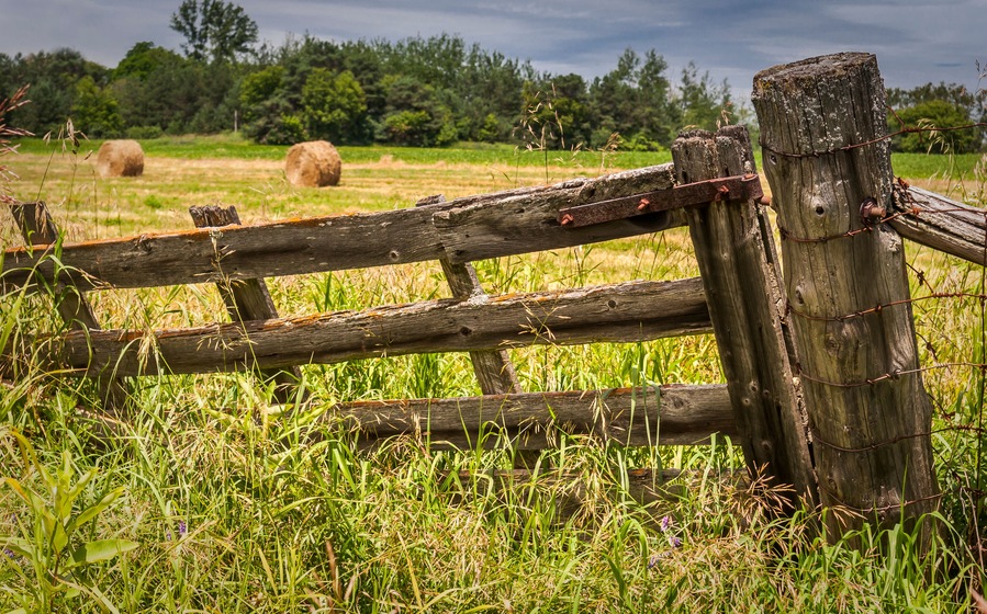 A broken wood gate at the entrance to a farm field in Stouffville Canada.