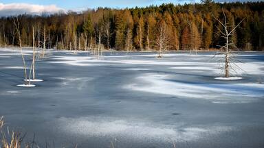Early winter frozen lake at sunset with dead trees on Highway 37 and 7 in Ontario Canada