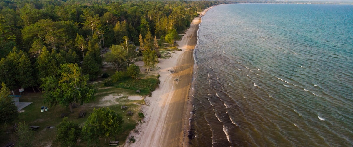 An aerial view of a beach with a forested area and a clear sky.