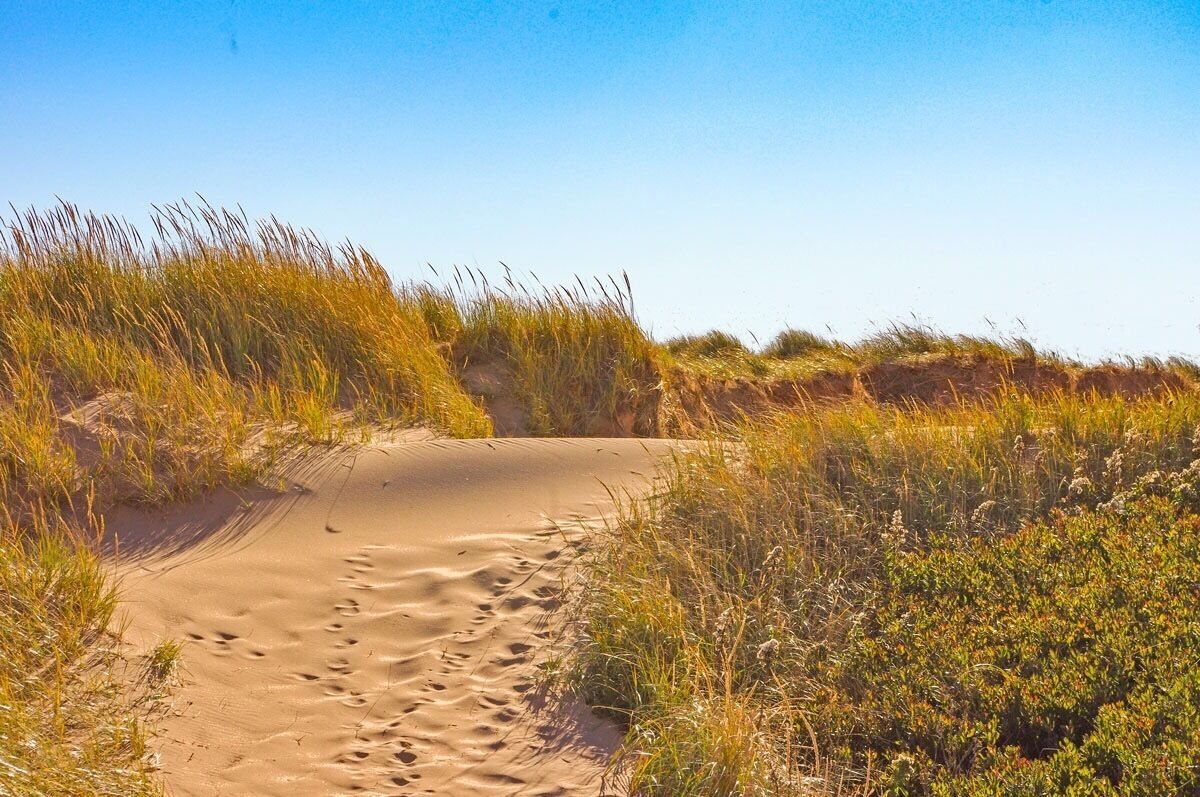 Prince Edward Island National Park