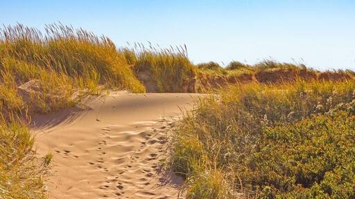 Prince Edward Island National Park