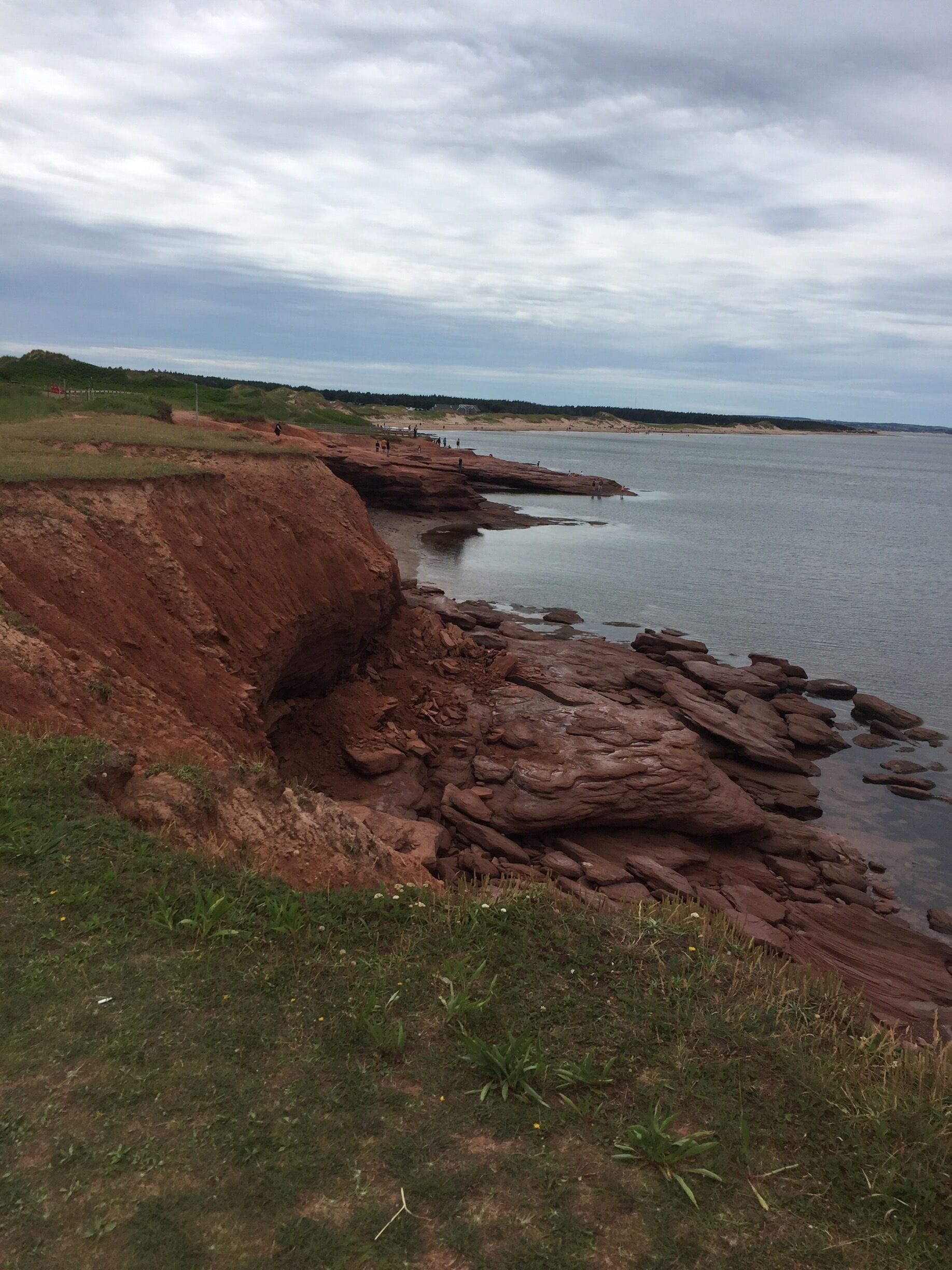 A rocky shoreline with a grassy foreground and a body of water in the background.