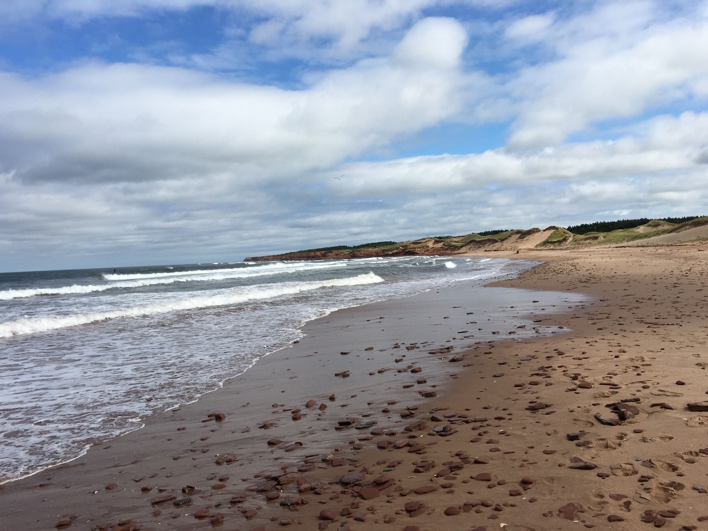 On the shores of Cavendish Beach, Prince Edward Island. It was warm and humid -- nice weather on this September day.
#canada#PEI