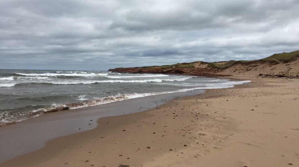 September 2016 -- good time to visit.
#beachbound