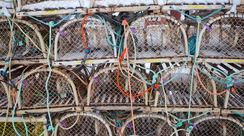 North Rustico which includes snow