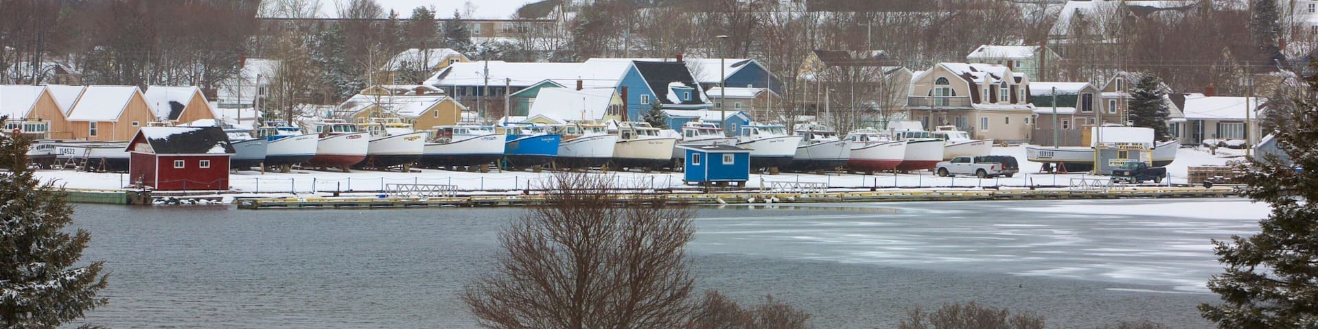 North Rustico showing snow, a small town or village and a lake or waterhole
