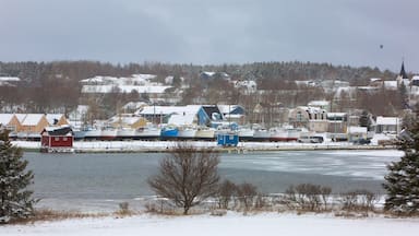 North Rustico showing snow, a small town or village and a lake or waterhole