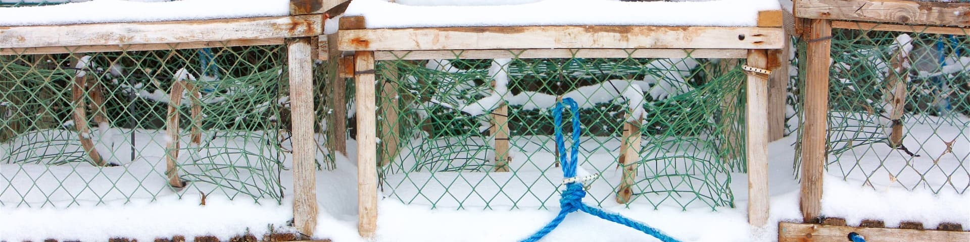 North Rustico featuring snow