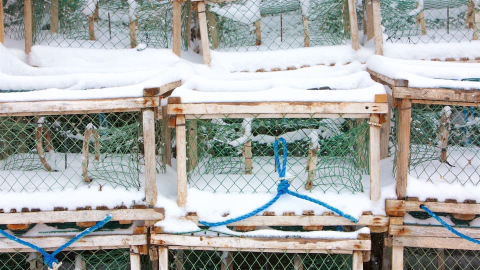 A series of wooden lobster traps covered in snow, secured with blue ropes, set against a snowy landscape with green coniferous trees.