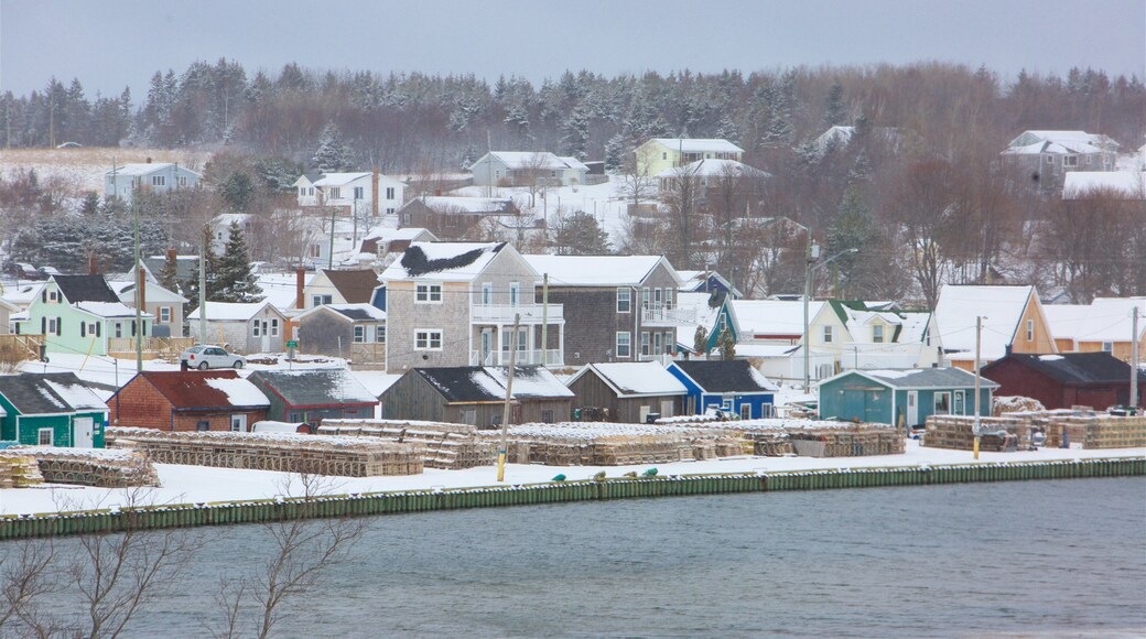 North Rustico showing a small town or village and snow