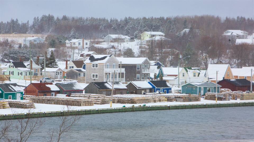 A snowy waterfront town with houses and a dock.