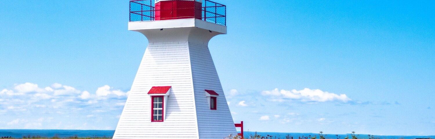 Um farol branco e vermelho com teto vermelho, rodeado por um campo de flores amarelas, sob um céu azul claro.
