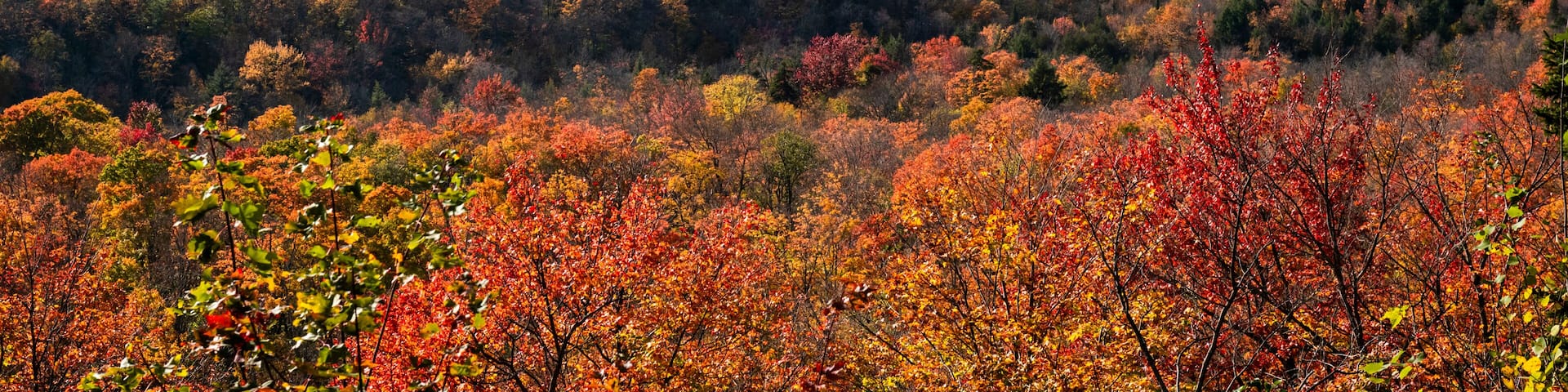 Lake Stukely at fall in Mont Orford national park