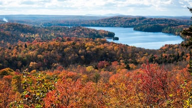 Lake Stukely at fall in Mont Orford national park