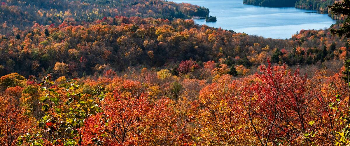 A lake surrounded by autumn-colored trees.
