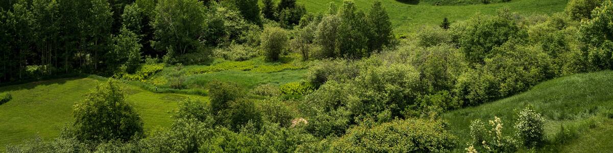 Vue sur les champs, le fleuve saint laurent et l'isle aux coudres depuis la municipalité Les Eboulements au Québec, Canada