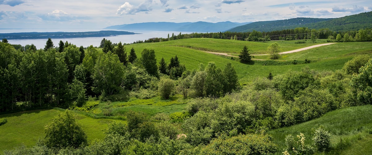 A lush green landscape with a lake and mountains in the background.