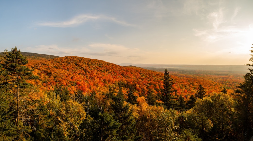 A mountainous landscape with autumn foliage.