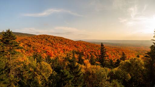 Panoramic view of colorful trees in the Mont-Megantic national park, Canada