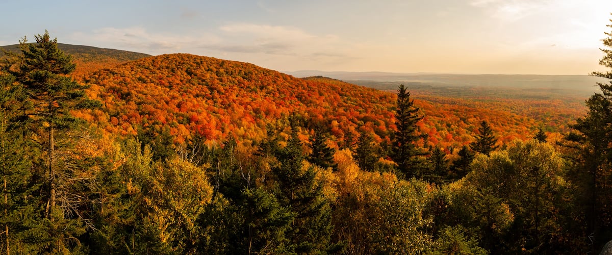 A mountainous landscape with autumn foliage.