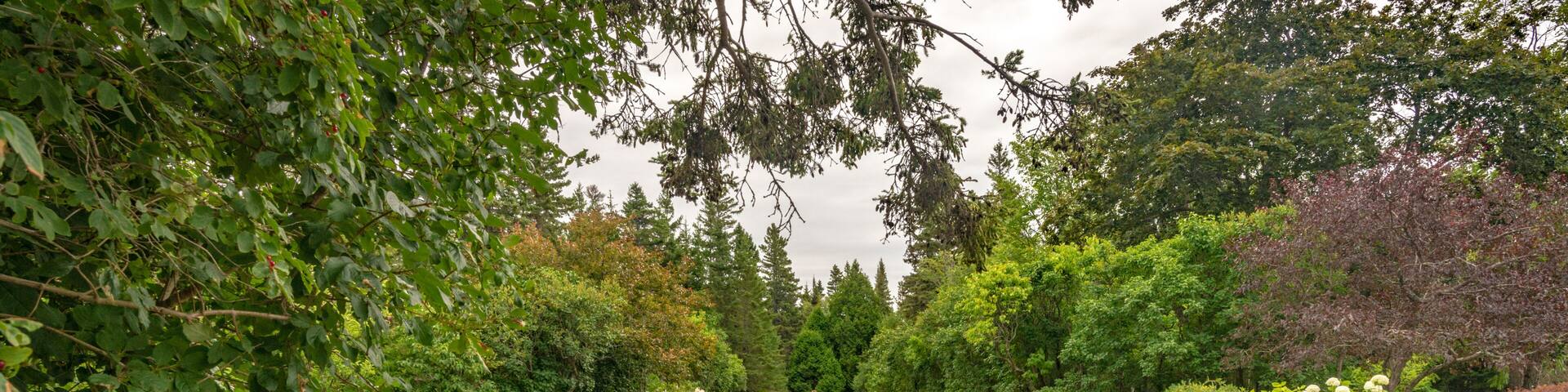 Mixed border of perennial plants in Reford garden, Metis sur mer, Quebec, Canada