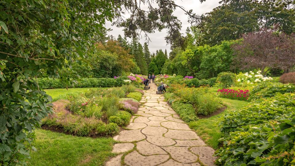 A garden with a stone pathway, lush greenery, and various flowering plants.
