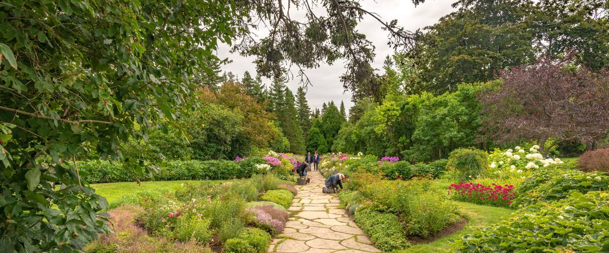 A garden with a stone pathway, lush greenery, and various flowering plants.