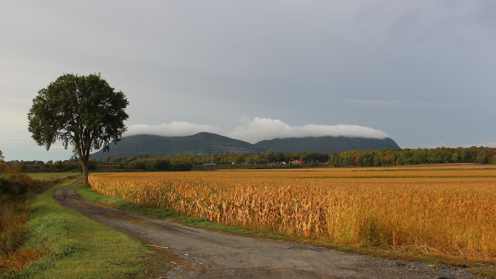 Mont-St-Hilaire in Early Fall