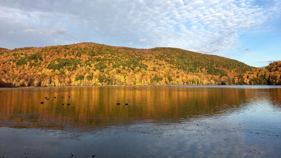 Falls season colourful season in Canada
