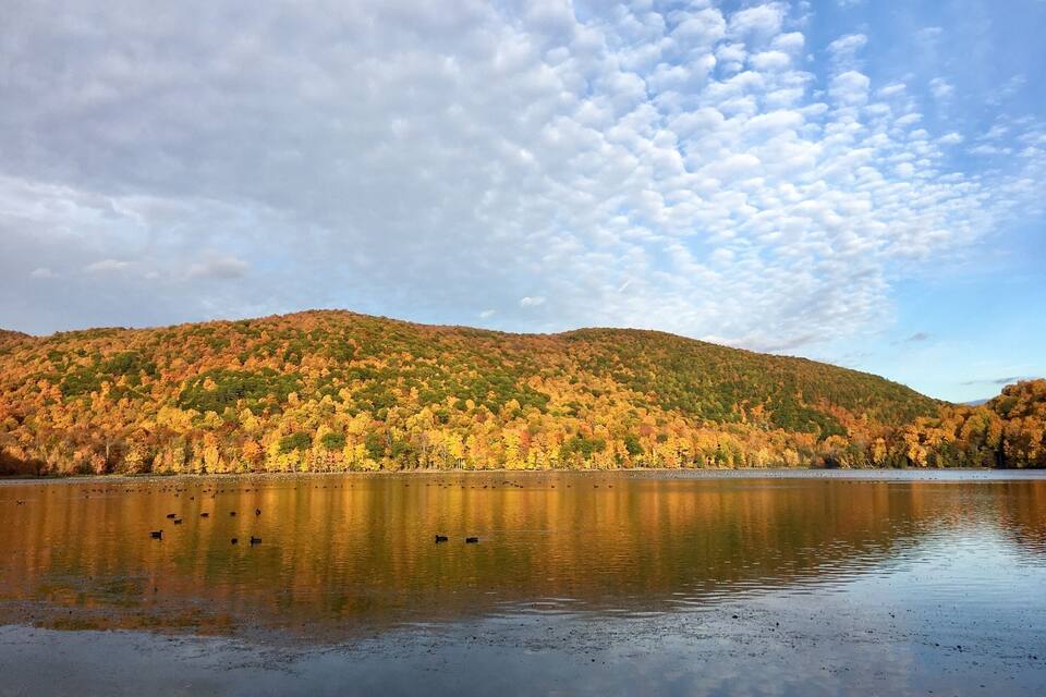 A calm lake reflecting autumn trees and a cloudy sky.