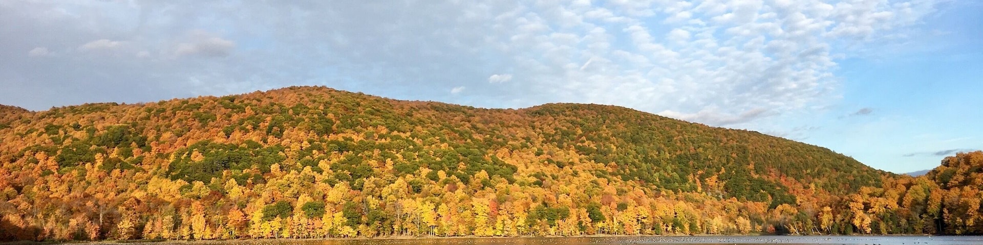 Falls season colourful season in Canada