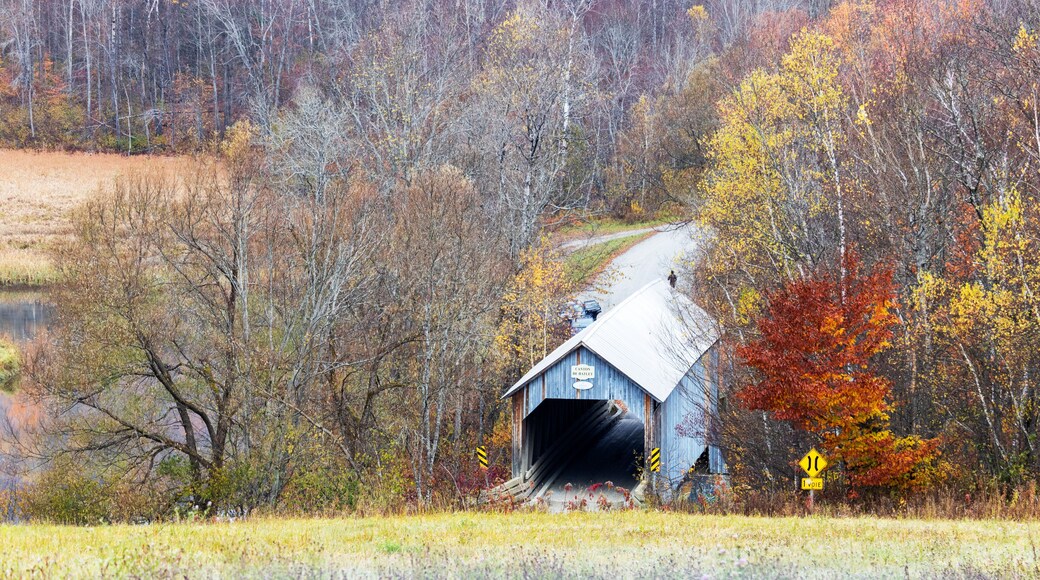 ノース ハトレー