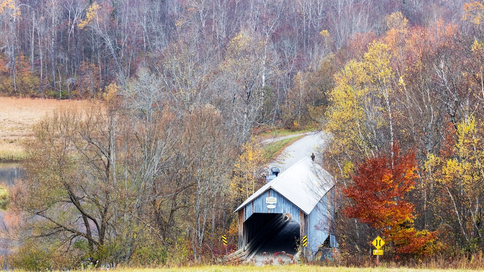 A covered bridge in a forested area with autumn foliage.