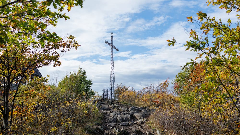 Low angle view of a large cross surrounded by trees
