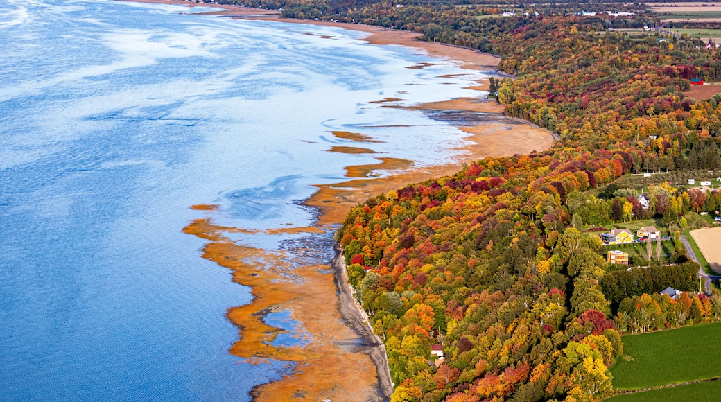 Aeral photo of St. Lawrence River Magnificent Quebec, along the River by Fall and color