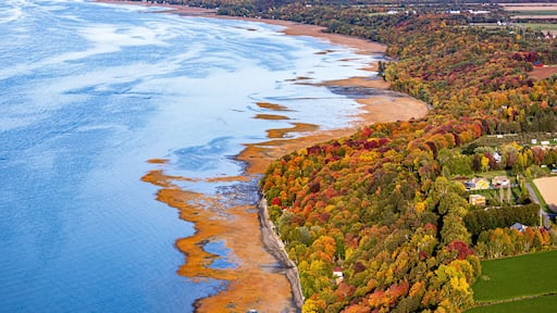 サラベリー・ド・ヴァレーフィールド