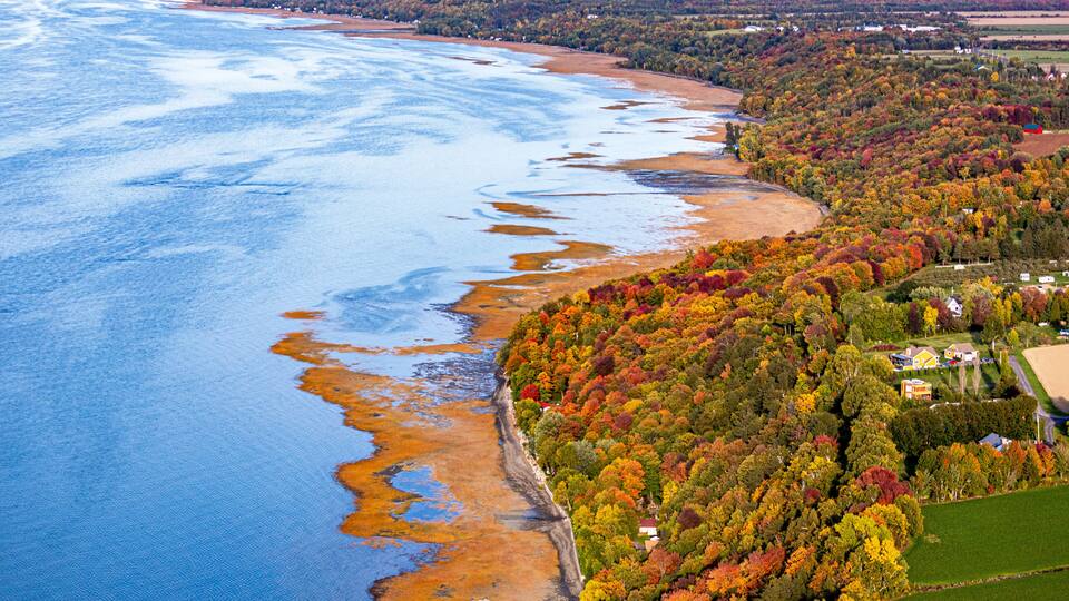 A coastal landscape with a river, autumn-colored trees, and a small settlement.