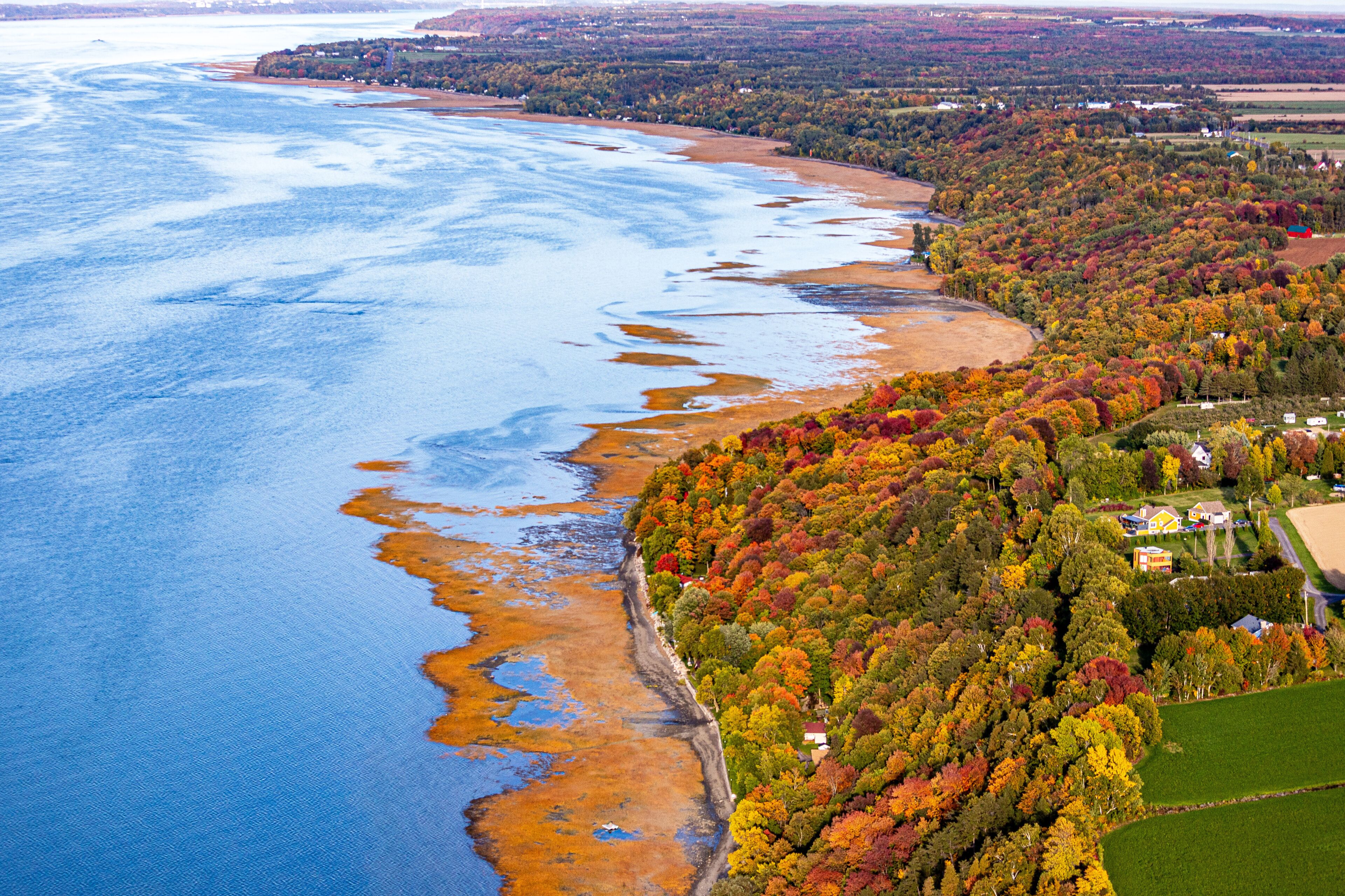 A coastal landscape with a river, autumn-colored trees, and a small settlement.