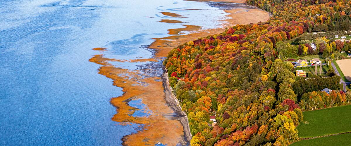 A coastal landscape with a river, autumn-colored trees, and a small settlement.