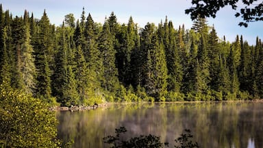 A few weeks ago I camped at La Mauricie National Park located in the Province of Quebec. Let me start by saying this park is massive and loads to explore. It has a similar feel as Algonquin Park with the exception of a language barrier. While most people in the park are bilingual, some don't speak English at all so if you plan on going I recommend you knowing at least the basics like 'There's a bear on my site and he's eating dinner' hehe JK. But seriously learning the basics will help you communicate with others in this National Park. The park features plenty of lakes to portage and trails to hike. You can expect to see the standard wildlife often found in Eastern Canada such as Bear, Moose, Wolf, Raccoons, Squirrels and so forth, but you may also find some Woodpeckers too. Some believe there are Cougars here too but seeing them is quite rare. You can also swim, fish, and bike to name a few.