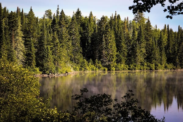 A few weeks ago I camped at La Mauricie National Park located in the Province of Quebec. Let me start by saying this park is massive and loads to explore. It has a similar feel as Algonquin Park with the exception of a language barrier. While most people in the park are bilingual, some don't speak English at all so if you plan on going I recommend you knowing at least the basics like 'There's a bear on my site and he's eating dinner' hehe JK. But seriously learning the basics will help you communicate with others in this National Park. The park features plenty of lakes to portage and trails to hike. You can expect to see the standard wildlife often found in Eastern Canada such as Bear, Moose, Wolf, Raccoons, Squirrels and so forth, but you may also find some Woodpeckers too. Some believe there are Cougars here too but seeing them is quite rare. You can also swim, fish, and bike to name a few.