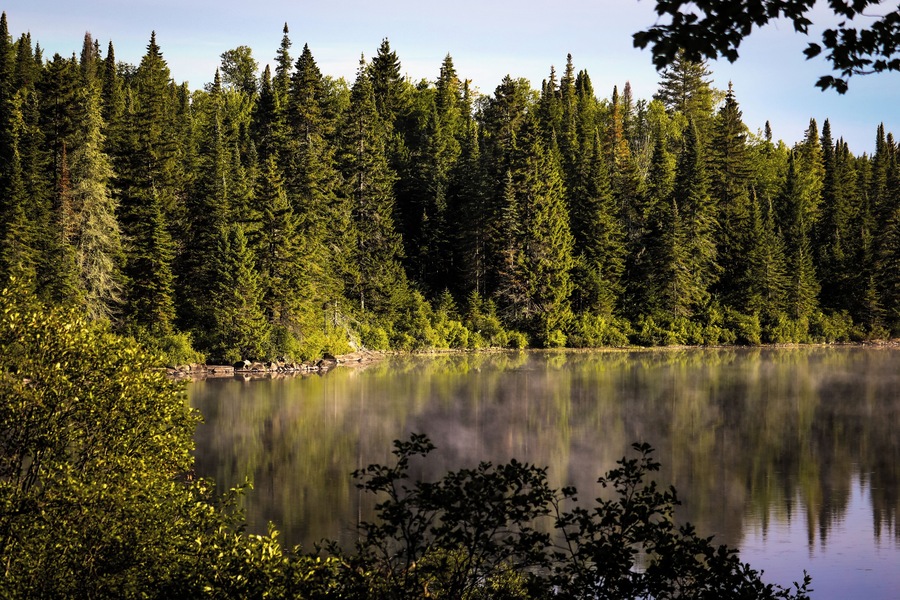 A few weeks ago I camped at La Mauricie National Park located in the Province of Quebec. Let me start by saying this park is massive and loads to explore. It has a similar feel as Algonquin Park with the exception of a language barrier. While most people in the park are bilingual, some don't speak English at all so if you plan on going I recommend you knowing at least the basics like 'There's a bear on my site and he's eating dinner' hehe JK. But seriously learning the basics will help you communicate with others in this National Park. The park features plenty of lakes to portage and trails to hike. You can expect to see the standard wildlife often found in Eastern Canada such as Bear, Moose, Wolf, Raccoons, Squirrels and so forth, but you may also find some Woodpeckers too. Some believe there are Cougars here too but seeing them is quite rare. You can also swim, fish, and bike to name a few.