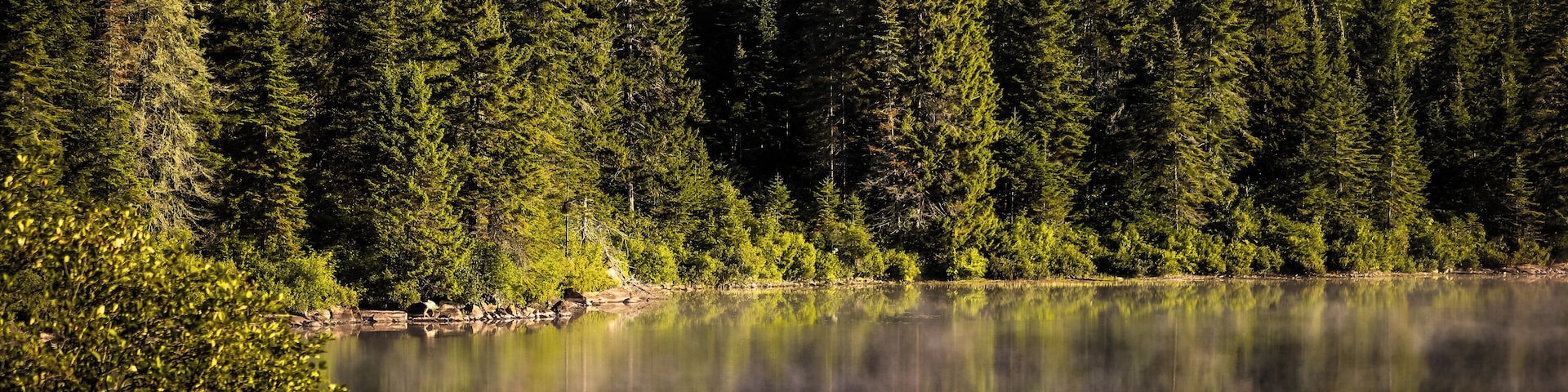 A few weeks ago I camped at La Mauricie National Park located in the Province of Quebec. Let me start by saying this park is massive and loads to explore. It has a similar feel as Algonquin Park with the exception of a language barrier. While most people in the park are bilingual, some don't speak English at all so if you plan on going I recommend you knowing at least the basics like 'There's a bear on my site and he's eating dinner' hehe JK. But seriously learning the basics will help you communicate with others in this National Park. The park features plenty of lakes to portage and trails to hike. You can expect to see the standard wildlife often found in Eastern Canada such as Bear, Moose, Wolf, Raccoons, Squirrels and so forth, but you may also find some Woodpeckers too. Some believe there are Cougars here too but seeing them is quite rare. You can also swim, fish, and bike to name a few.