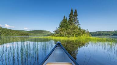 A canoe on a calm lake with reflections of tall grass and trees.