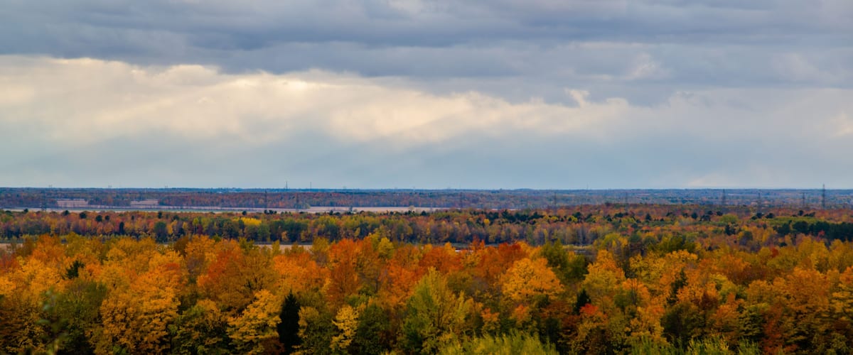 A landscape with autumn-colored trees and a cloudy sky.