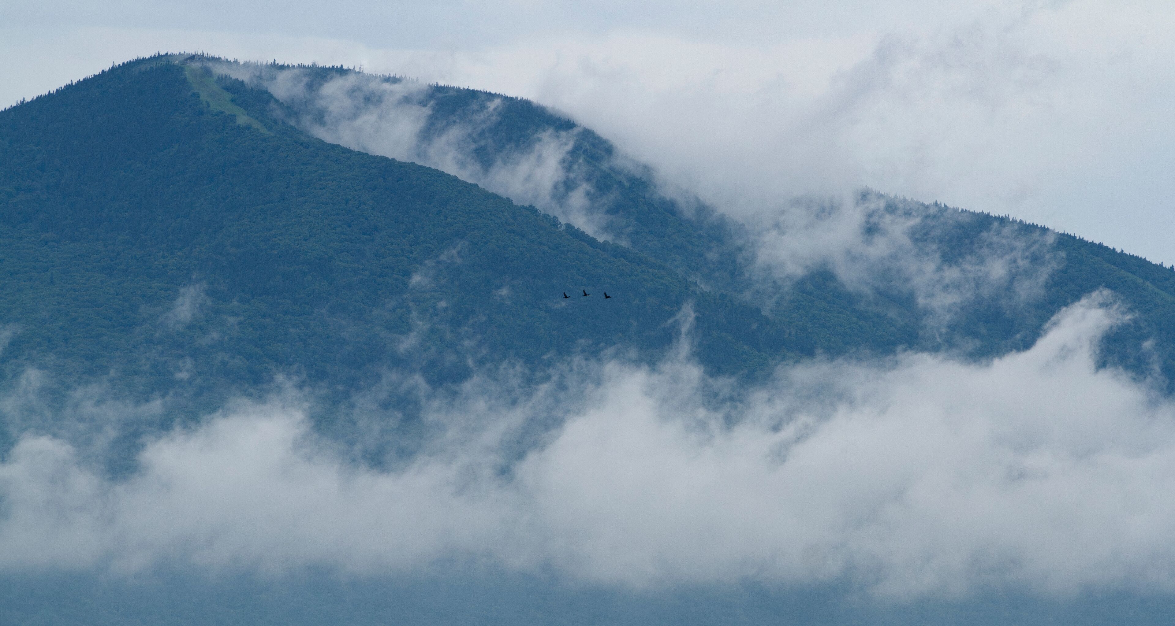 سانت فيرول لي نيجي