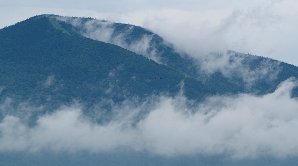 سانت فيرول لي نيجي