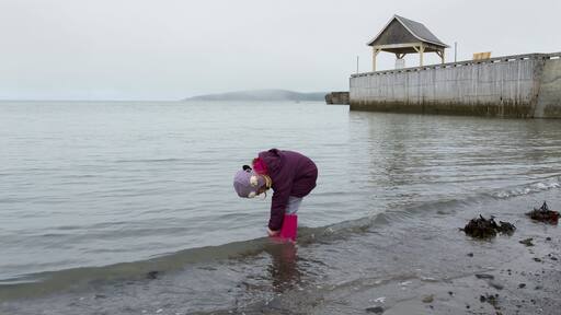 Une personne qui marche dans l’eau peu profonde, près d’une jetée en bois surmontée d’un abri.