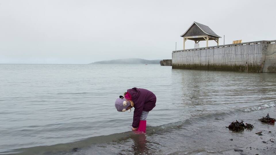 A person wading in shallow water near a wooden pier with a covered shelter.