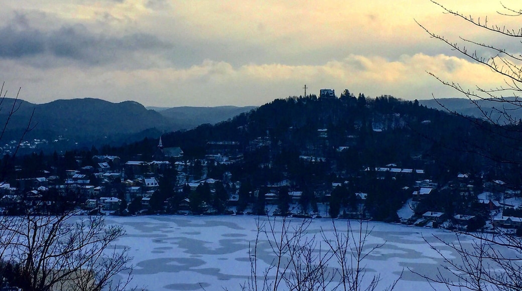 Winter morning in the Laurentians